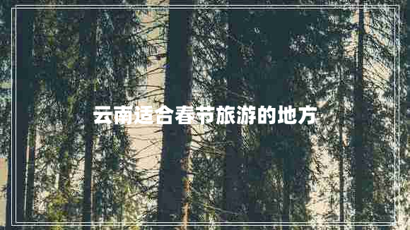 云南適合春節(jié)旅游的地方