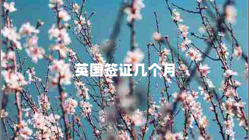 英國(guó)簽證幾個(gè)月