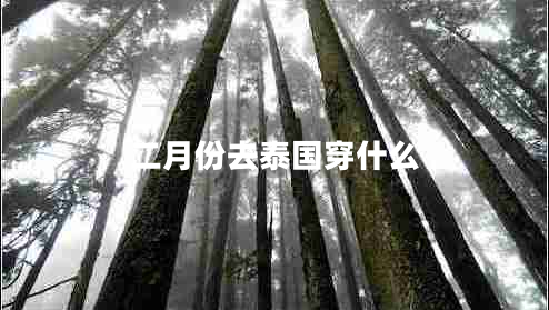 二月份去泰國(guó)穿什么