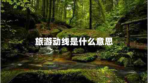 旅游動線是什么意思