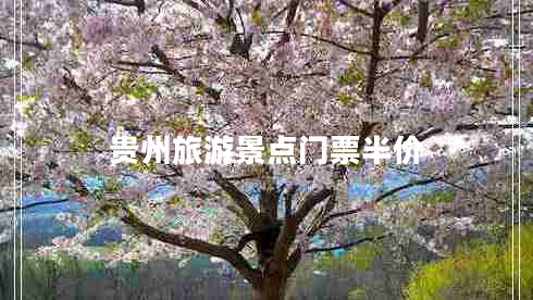 貴州旅游景點(diǎn)門票半價
