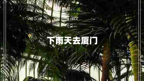 下雨天去廈門