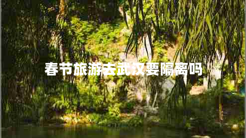 春節(jié)旅游去武漢要隔離嗎