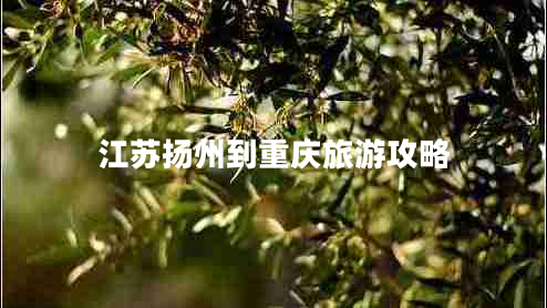 江蘇揚(yáng)州到重慶旅游攻略