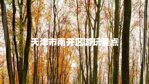 天津市南開區(qū)游玩景點