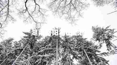 湖南岳陽君山地圖