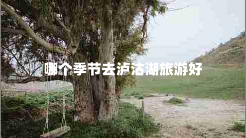 哪個(gè)季節(jié)去瀘沽湖旅游好