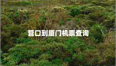 營(yíng)口到廈門(mén)機(jī)票查詢(xún)
