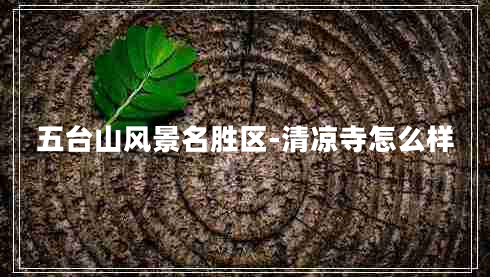 五臺(tái)山風(fēng)景名勝區(qū)-清涼寺怎么樣