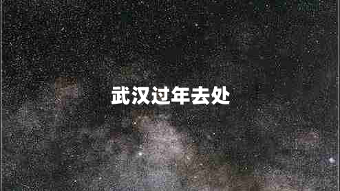 武漢過年去處