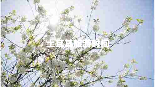 土耳其旅游時間