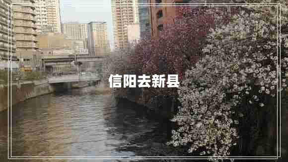 信陽去新縣