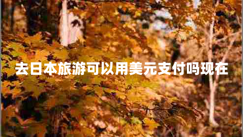 去日本旅游可以用美元支付嗎現(xiàn)在