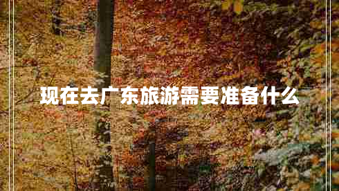 現(xiàn)在去廣東旅游需要準(zhǔn)備什么