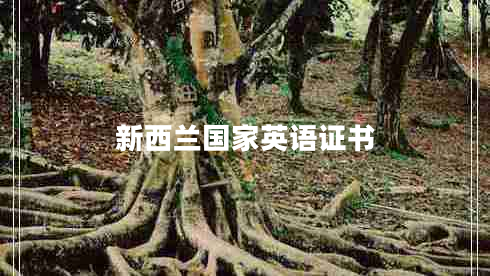 新西蘭國(guó)家英語(yǔ)證書