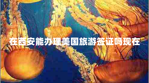 在西安能辦理美國旅游簽證嗎現(xiàn)在