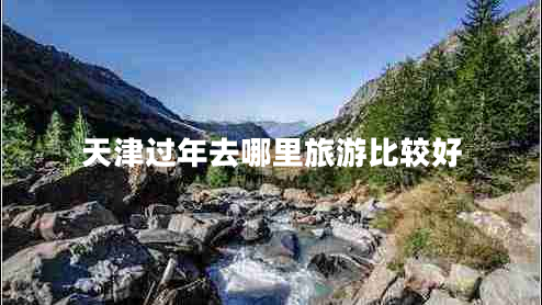 天津過年去哪里旅游比較好