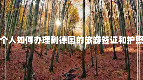 個(gè)人如何辦理到德國的旅游簽證和護(hù)照