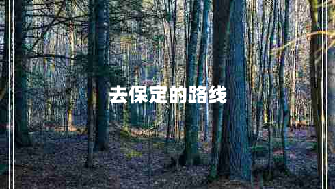 去保定的路線