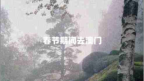 春節(jié)期間去澳門