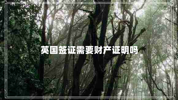 英國(guó)簽證需要財(cái)產(chǎn)證明嗎