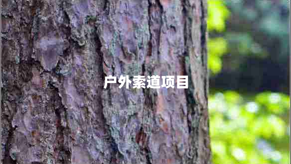 戶外索道項(xiàng)目