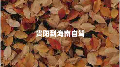 貴陽到海南自駕