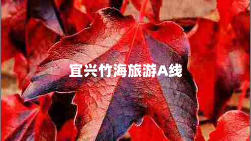 宜興竹海旅游A線(xiàn)