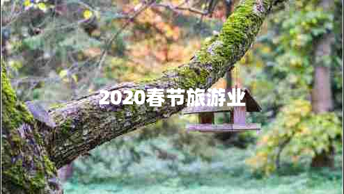 2020春節(jié)旅游業(yè)