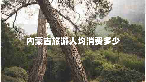 內(nèi)蒙古旅游人均消費(fèi)多少