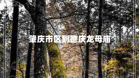 肇慶市區(qū)到德慶龍母廟
