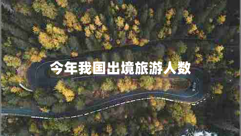 今年我國出境旅游人數(shù)