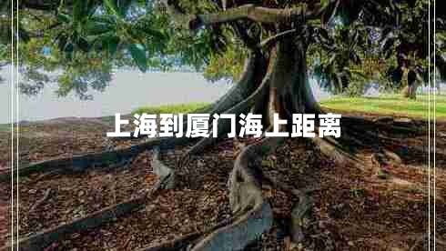 上海到廈門海上距離