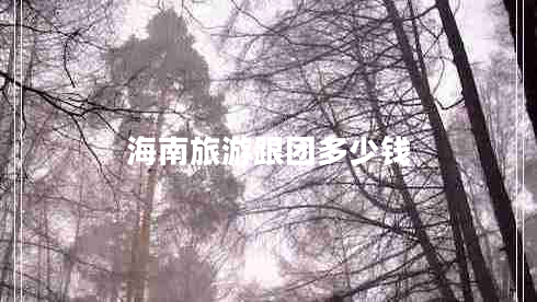 海南旅游跟團(tuán)多少錢