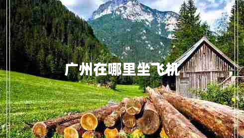 廣州在哪里坐飛機(jī)