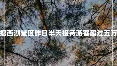 據統(tǒng)計瘦西湖景區(qū)昨日半天接待游客超過五萬人左右