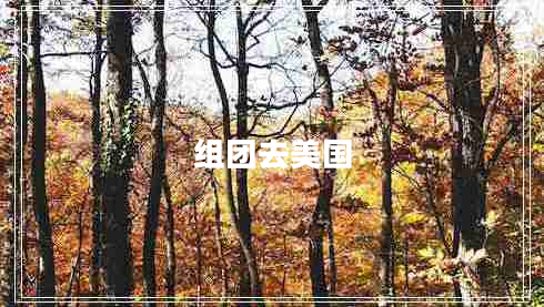 組團(tuán)去美國(guó)