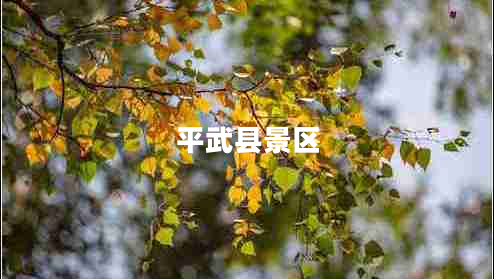 平武縣景區(qū)