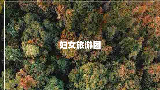 婦女旅游團(tuán)