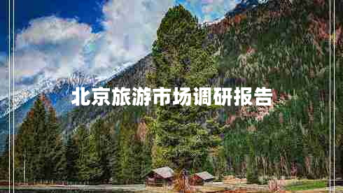 北京旅游市場調(diào)研報告