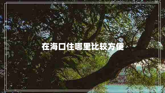 在?？谧∧睦锉容^方便