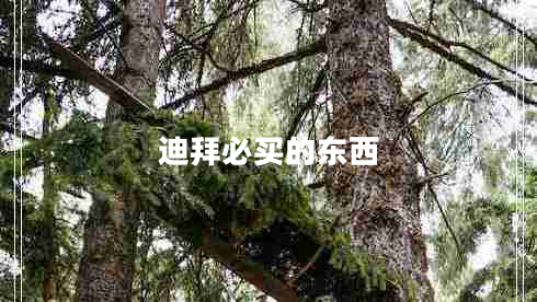 迪拜必買的東西