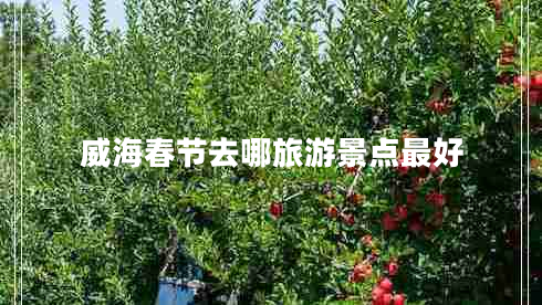 威海春節(jié)去哪旅游景點最好
