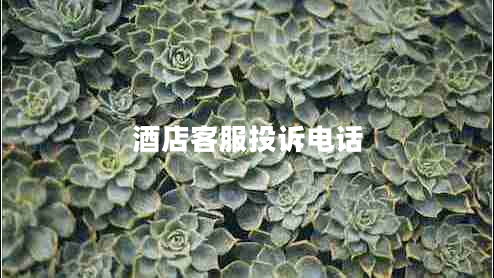 酒店客服投訴電話
