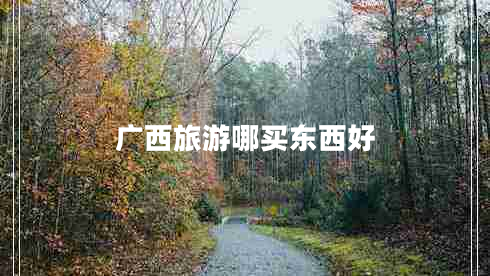 廣西旅游哪買東西好