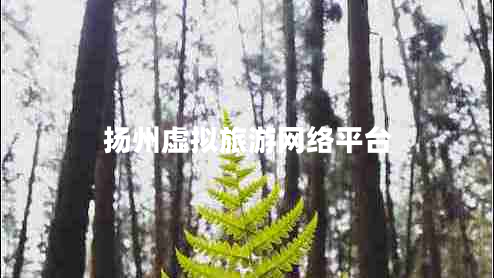 揚(yáng)州虛擬旅游網(wǎng)絡(luò)平臺(tái)