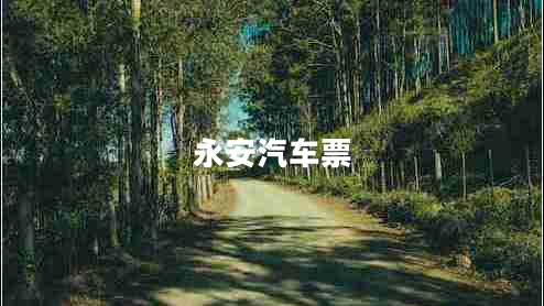 永安汽車票