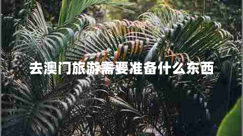 去澳門(mén)旅游需要準(zhǔn)備什么東西
