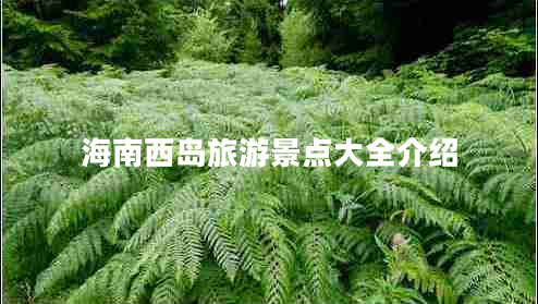 海南西島旅游景點大全介紹