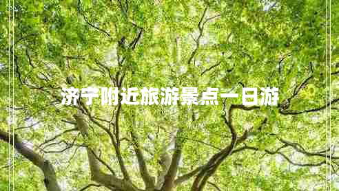 濟寧附近旅游景點一日游